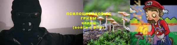 бутират Белокуриха