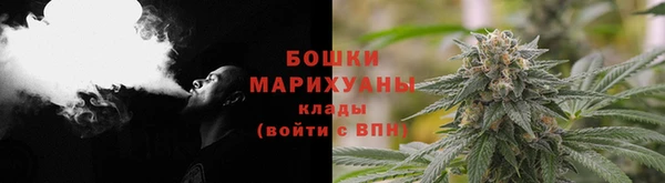 бутират Белокуриха