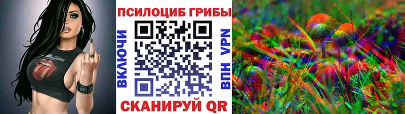 Галлюциногенные грибы Cubensis  как найти   Мезень 